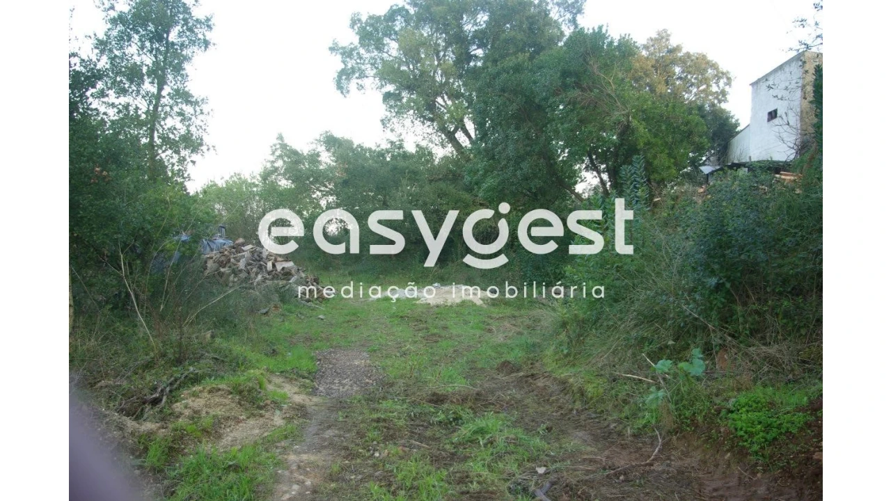 Terreno Agricola ou Rústico para Venda em Santa Clara e Castelo Viegas Foto 1