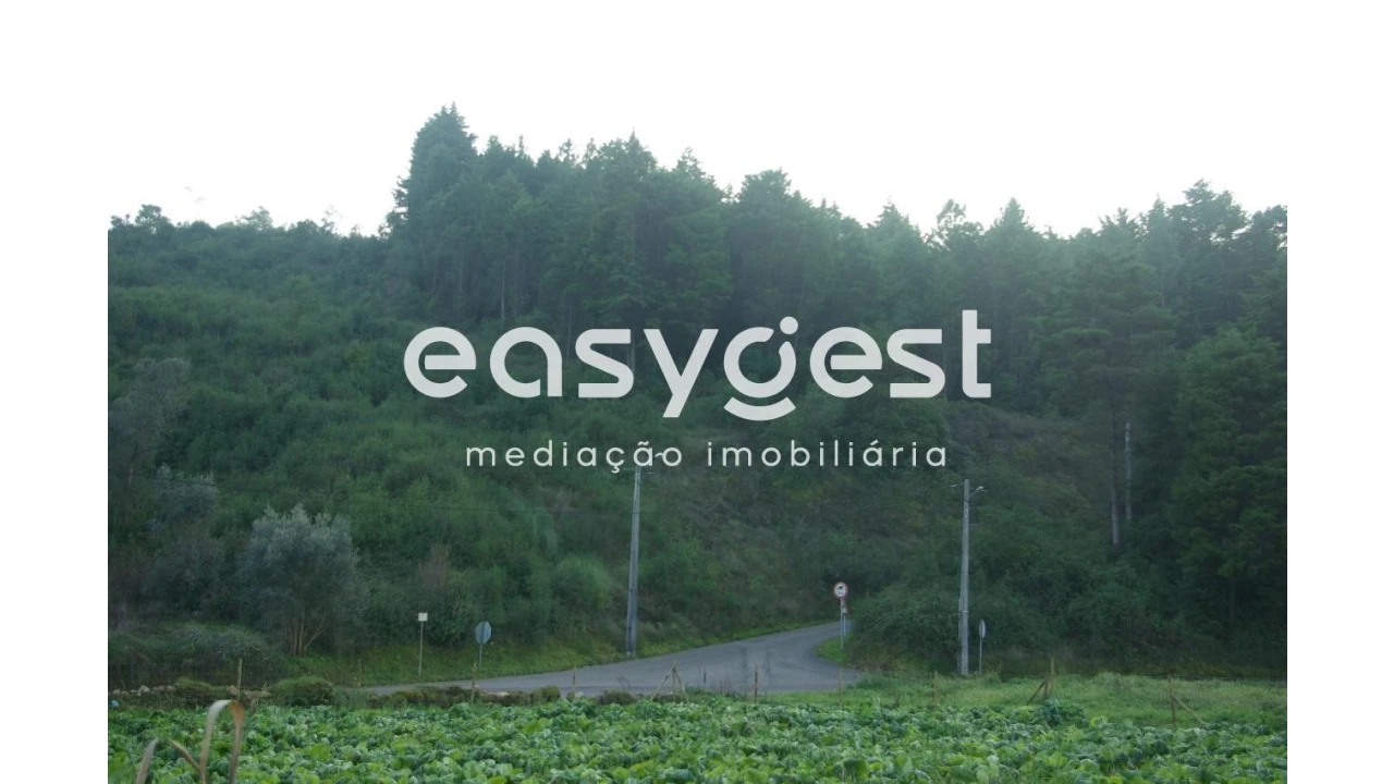 Terreno Agricola ou Rústico para Venda em Santa Clara e Castelo Viegas Foto 2