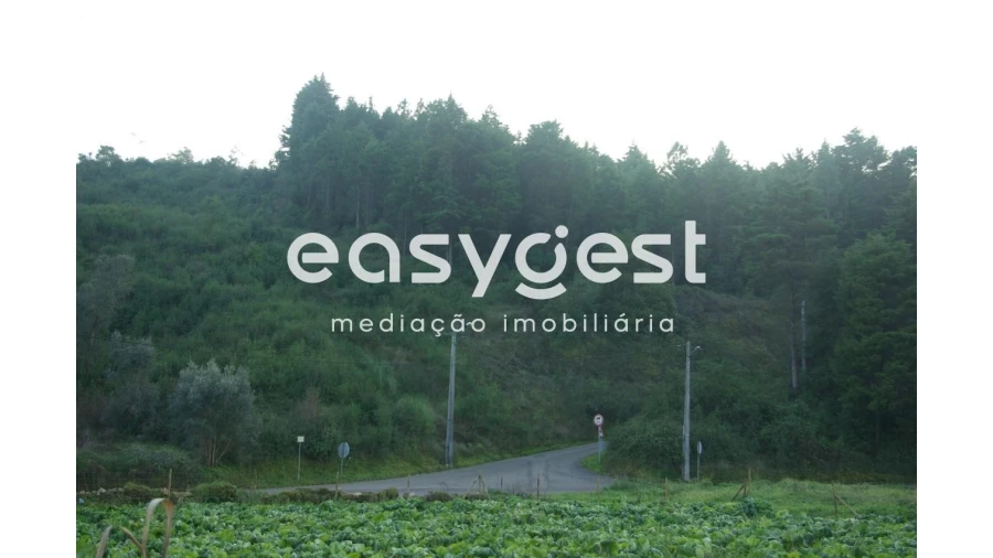 Terreno Agricola ou Rústico para Venda em Santa Clara e Castelo Viegas Foto 2