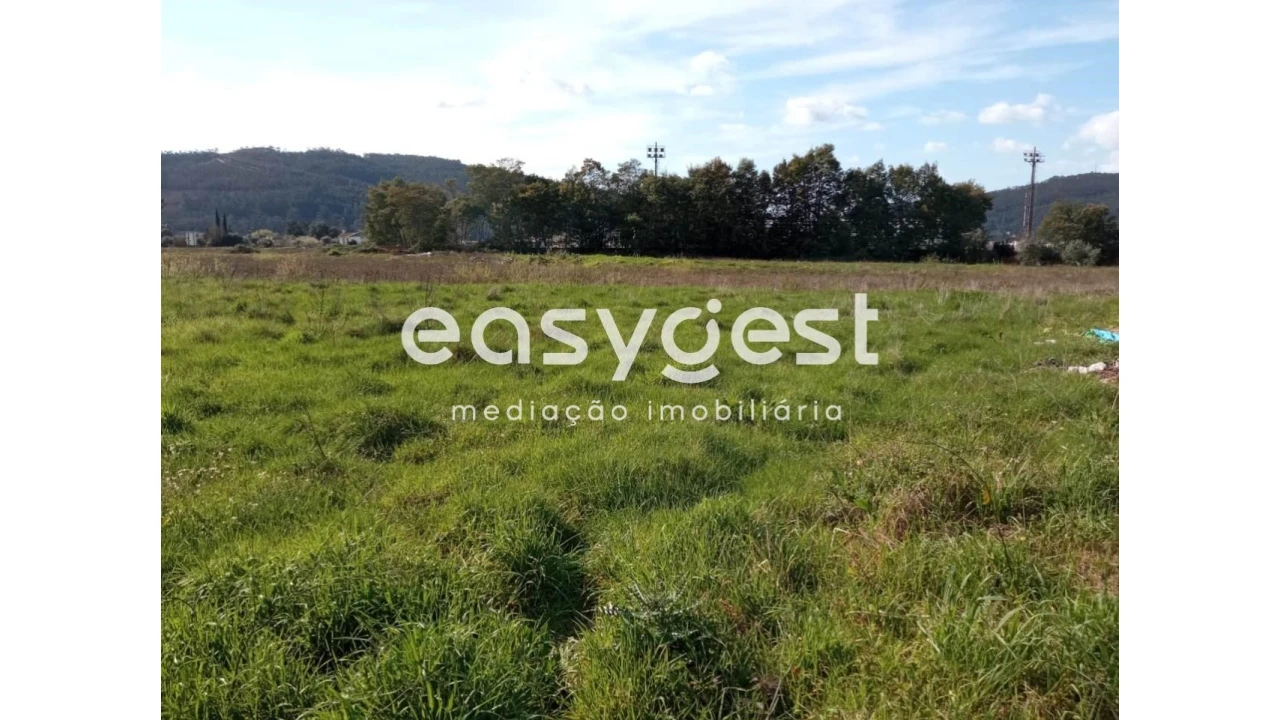 Terreno para Venda em Miranda do Corvo Foto 5