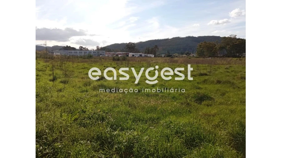 Terreno para Venda em Miranda do Corvo