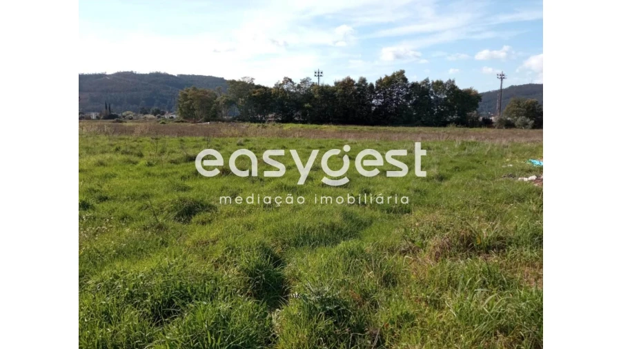 Terreno para Venda em Miranda do Corvo Foto 5