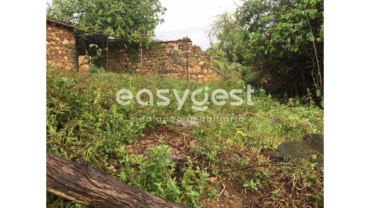 Moradia T1 para Venda em Secarias Foto 4