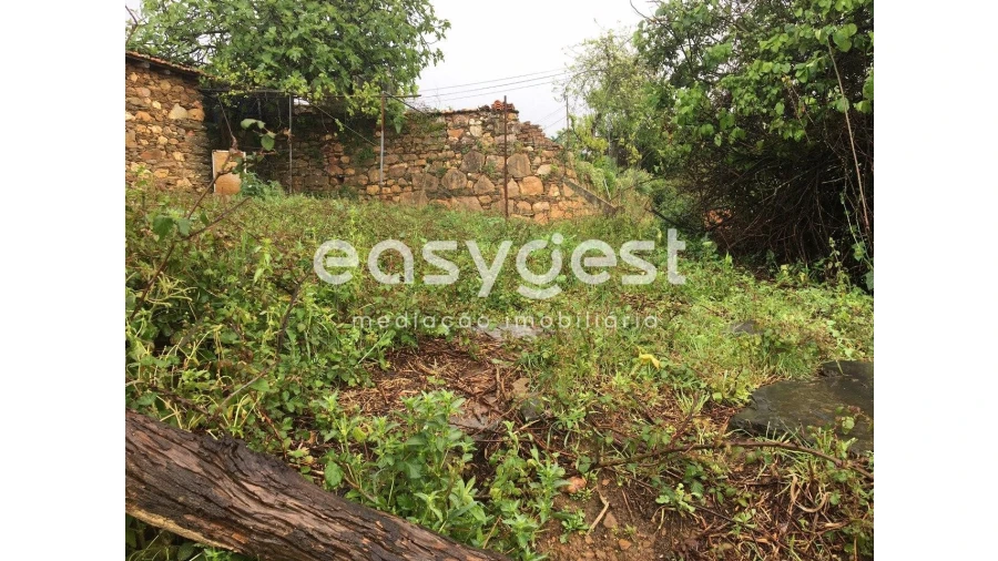 Moradia T1 para Venda em Secarias Foto 4