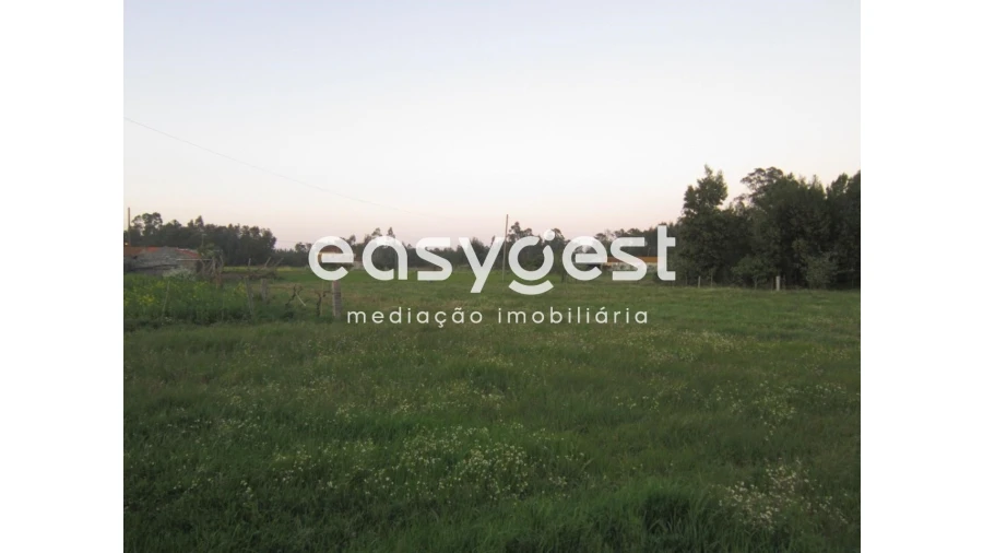 Terreno para Venda em Arazede Foto 4