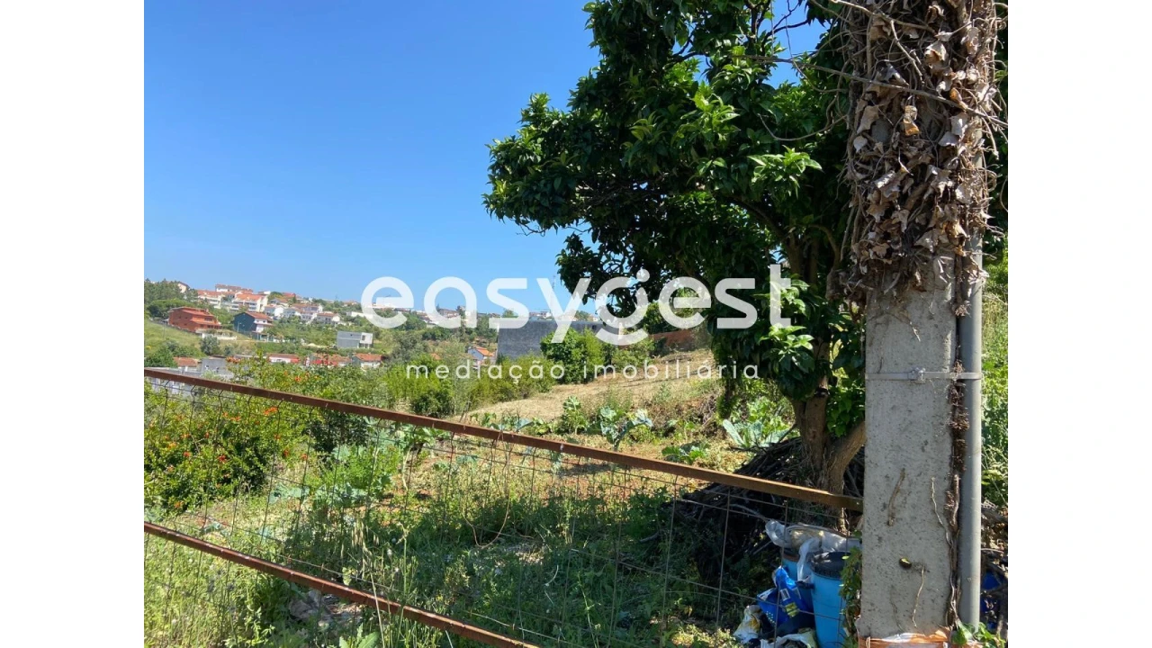 Terreno para Venda em Santa Clara e Castelo Viegas Foto 3