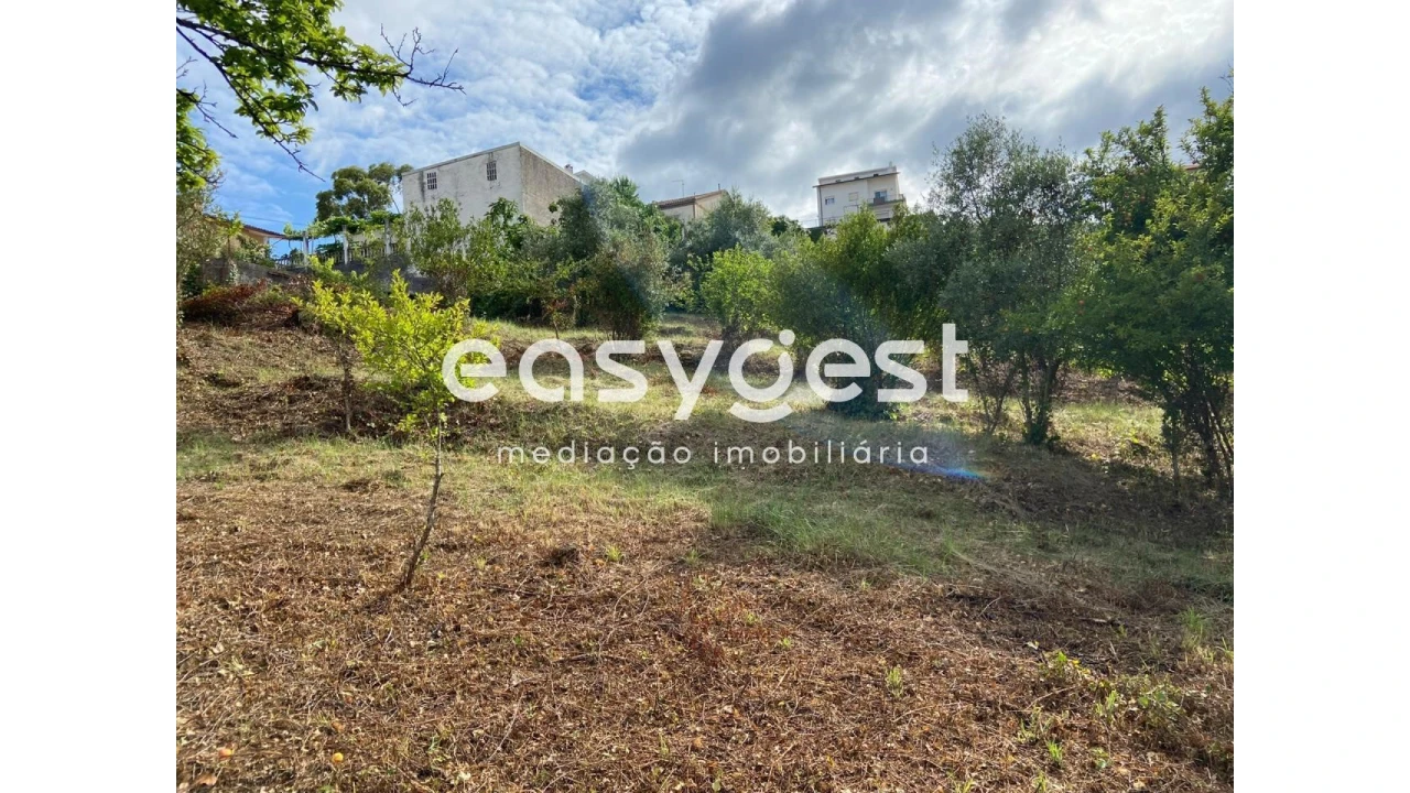 Terreno para Venda em Santa Clara e Castelo Viegas Foto 7