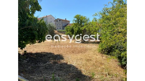 Terreno para Venda em Santa Clara e Castelo Viegas
