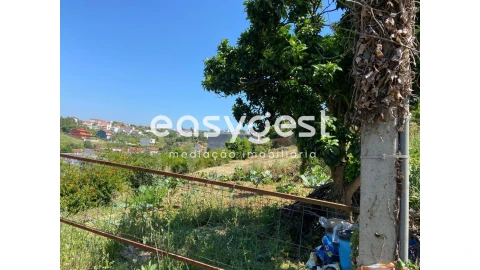Terreno para Venda em Santa Clara e Castelo Viegas