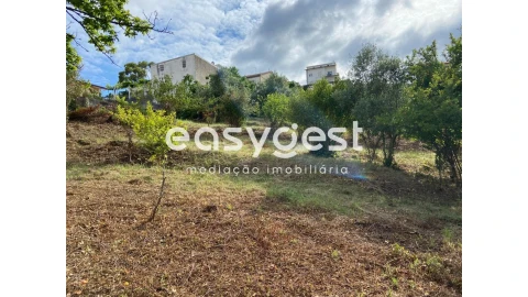 Terreno para Venda em Santa Clara e Castelo Viegas