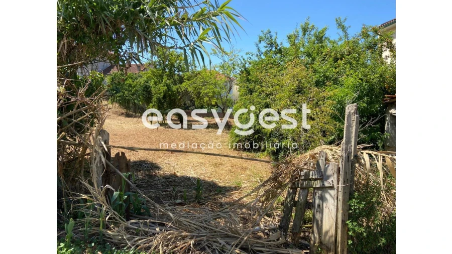 Terreno para Venda em Santa Clara e Castelo Viegas Foto 4
