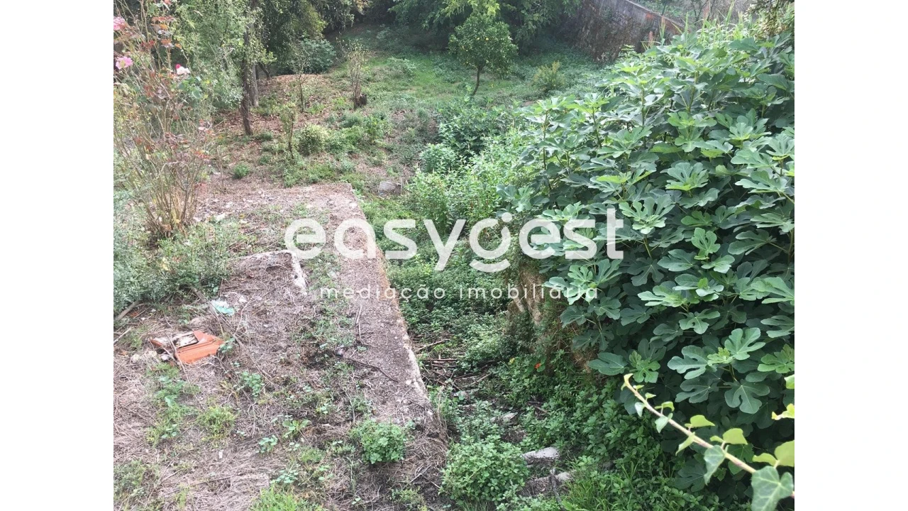 Terreno Misto para Venda em São Martinho do Bispo e Ribeira de Frades Foto 4