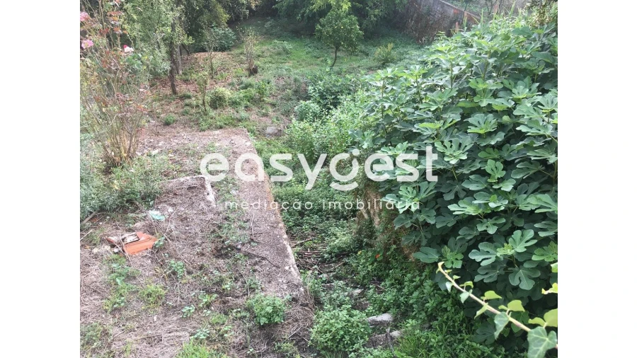 Terreno Misto para Venda em São Martinho do Bispo e Ribeira de Frades Foto 4
