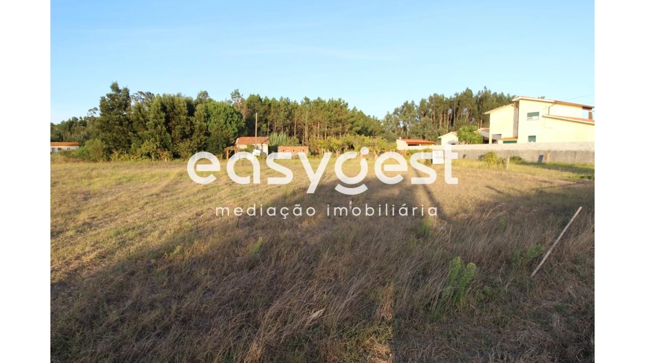 Terreno Agricola ou Rústico para Venda em Mira Foto 1