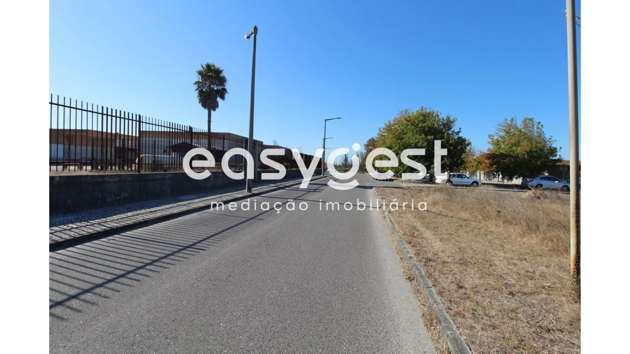 Terreno Agricola ou Rústico para Venda em Mira Foto 3