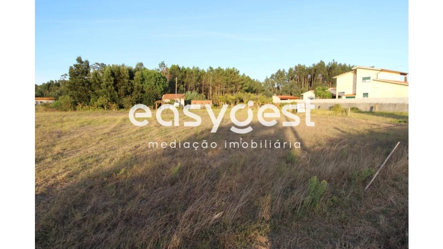 Terreno Agricola ou Rústico para Venda em Mira Foto 1