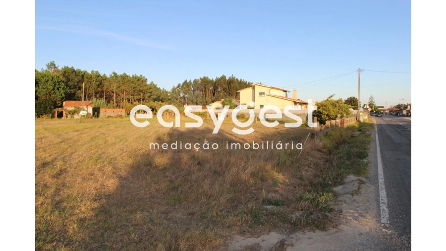 Terreno Agricola ou Rústico para Venda em Mira Foto 2