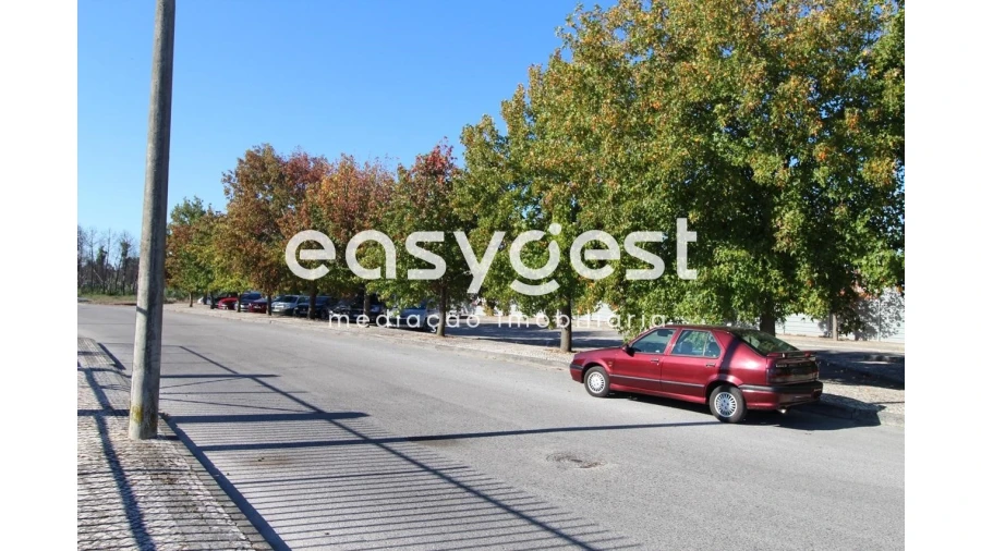 Terreno Agricola ou Rústico para Venda em Mira Foto 5