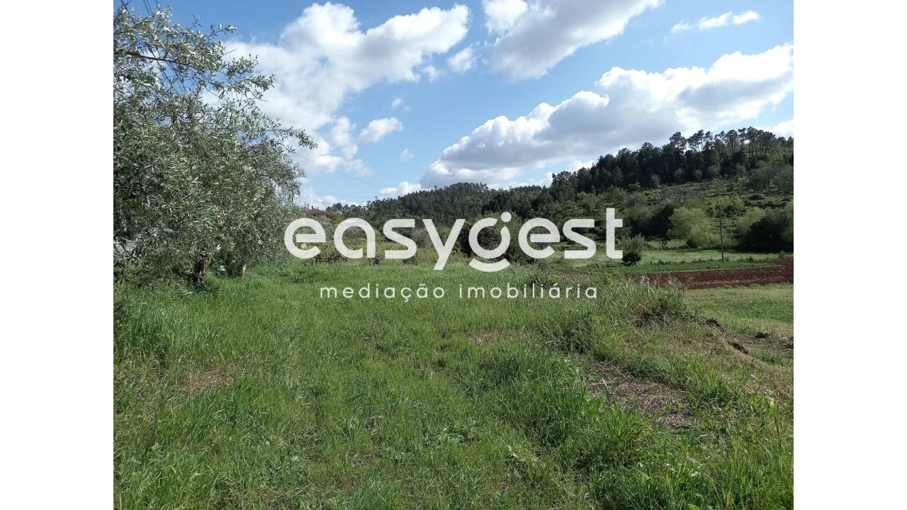 Terreno Agricola ou Rústico para Venda em Assafarge e Antanhol Foto 4