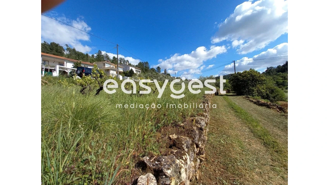 Terreno Agricola ou Rústico para Venda em Assafarge e Antanhol Foto 9