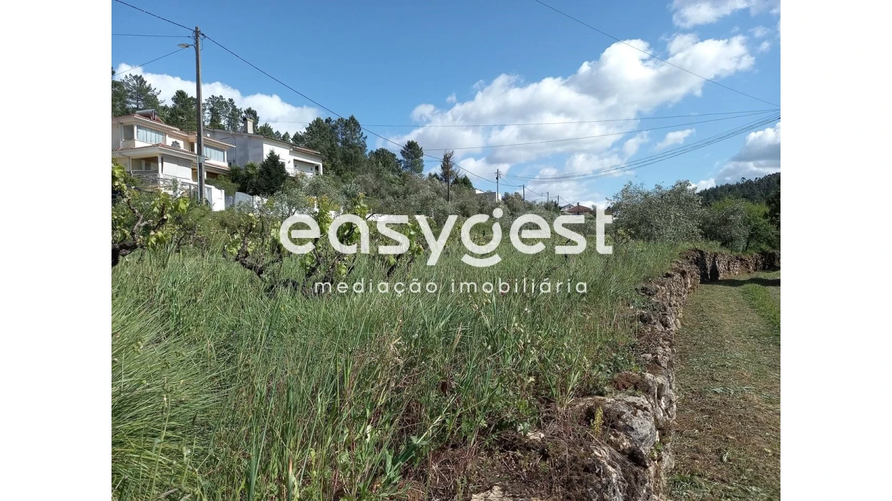 Terreno Agricola ou Rústico para Venda em Assafarge e Antanhol Foto 10