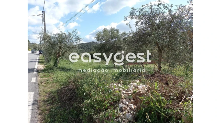 Terreno Agricola ou Rústico para Venda em Assafarge e Antanhol Foto 3