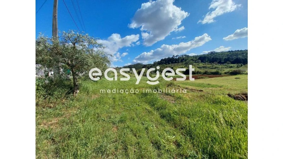 Terreno Agricola ou Rústico para Venda em Assafarge e Antanhol Foto 5