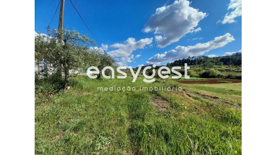 Terreno Agricola ou Rústico para Venda em Assafarge e Antanhol Foto 6