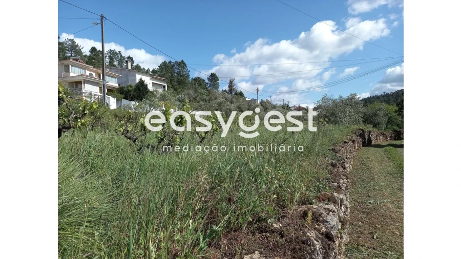 Terreno Agricola ou Rústico para Venda em Assafarge e Antanhol Foto 10