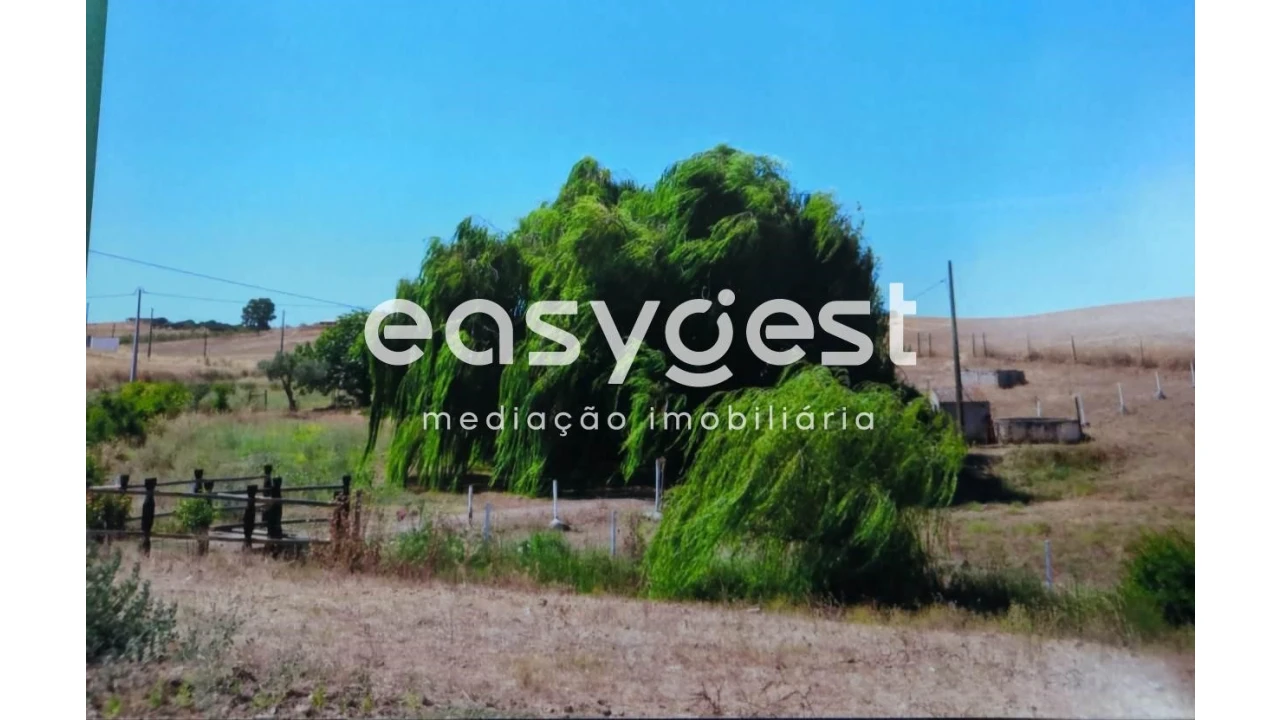 Quinta T2 para Venda em Santo Agostinho e São João Baptista e Santo Amador Foto 2