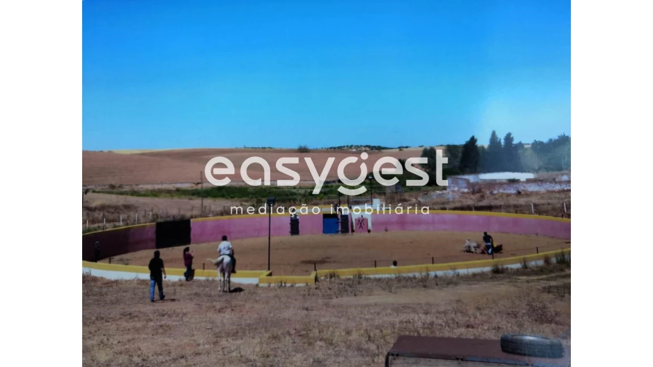 Quinta T2 para Venda em Santo Agostinho e São João Baptista e Santo Amador Foto 6