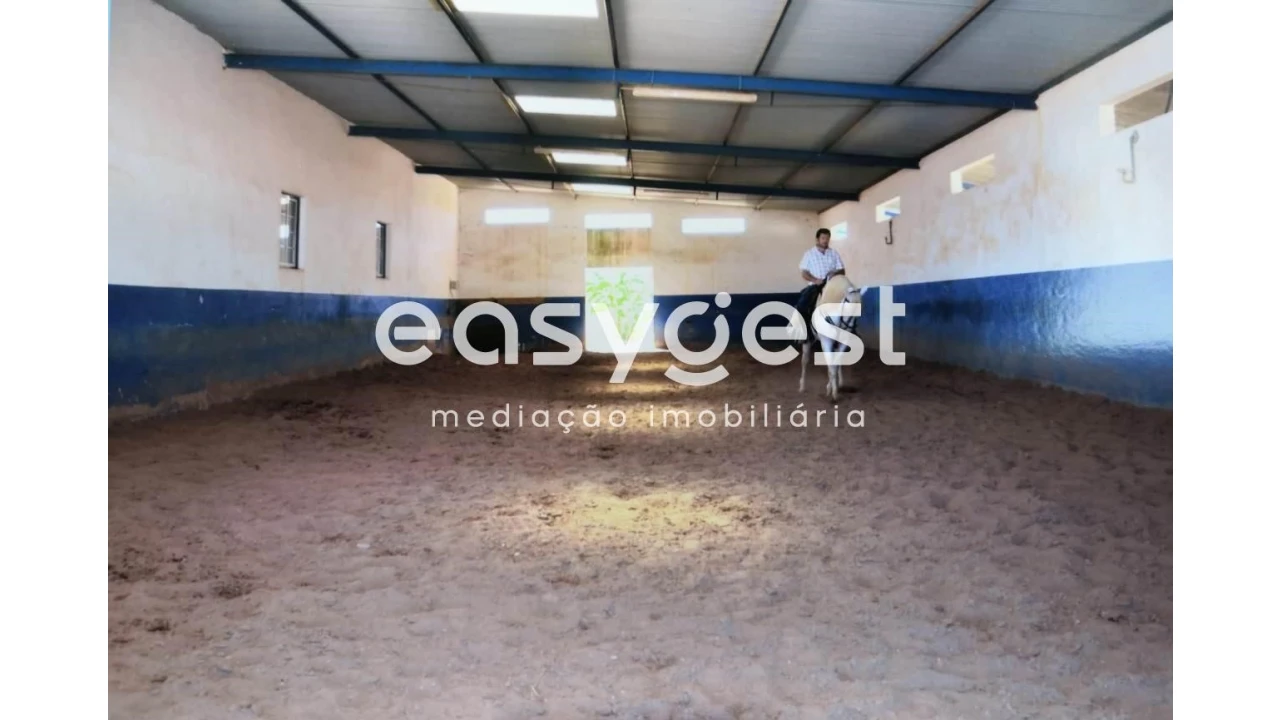 Quinta T2 para Venda em Santo Agostinho e São João Baptista e Santo Amador Foto 8