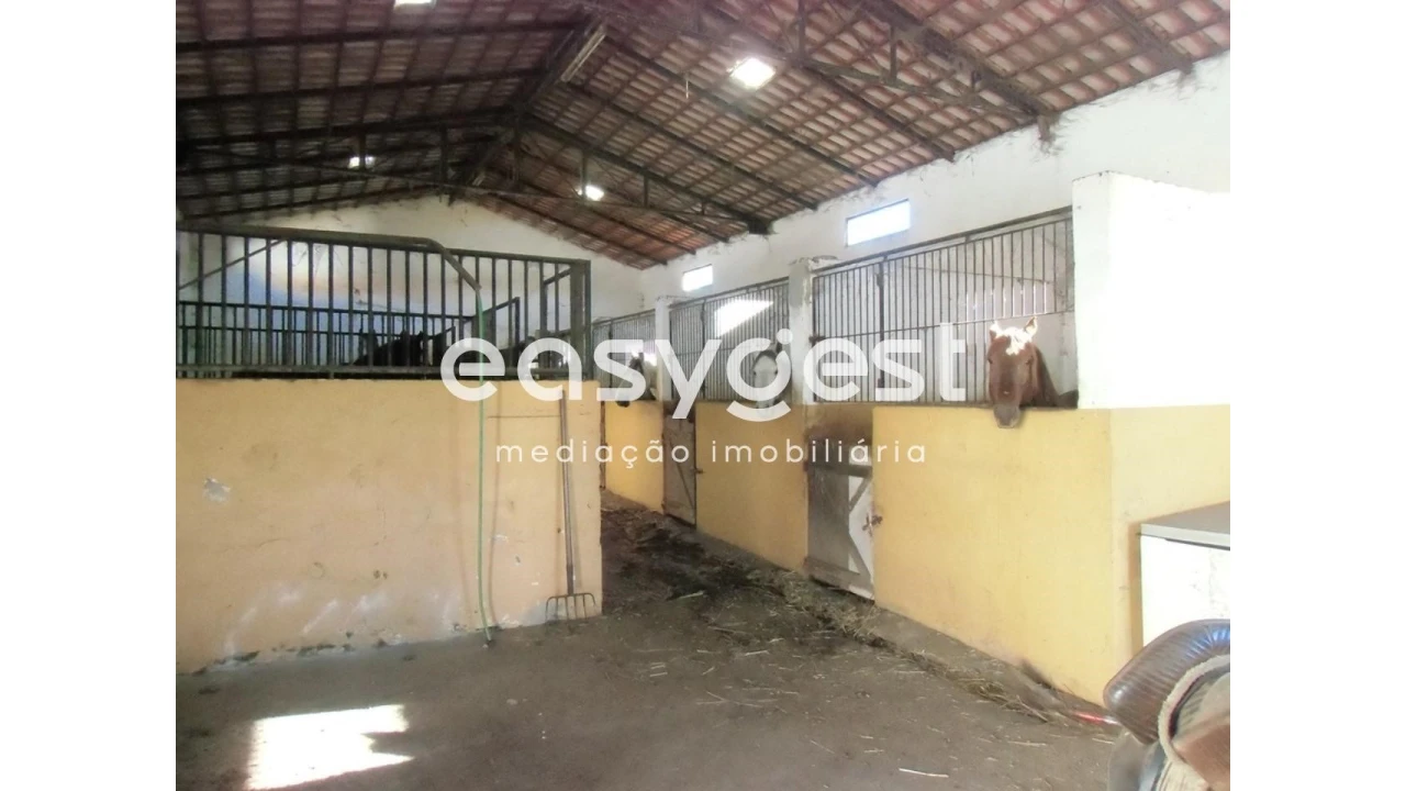 Quinta T2 para Venda em Santo Agostinho e São João Baptista e Santo Amador Foto 12