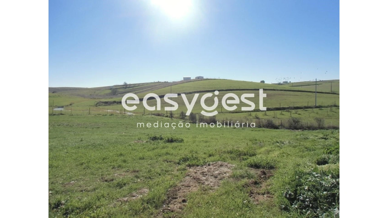 Quinta T2 para Venda em Santo Agostinho e São João Baptista e Santo Amador Foto 29