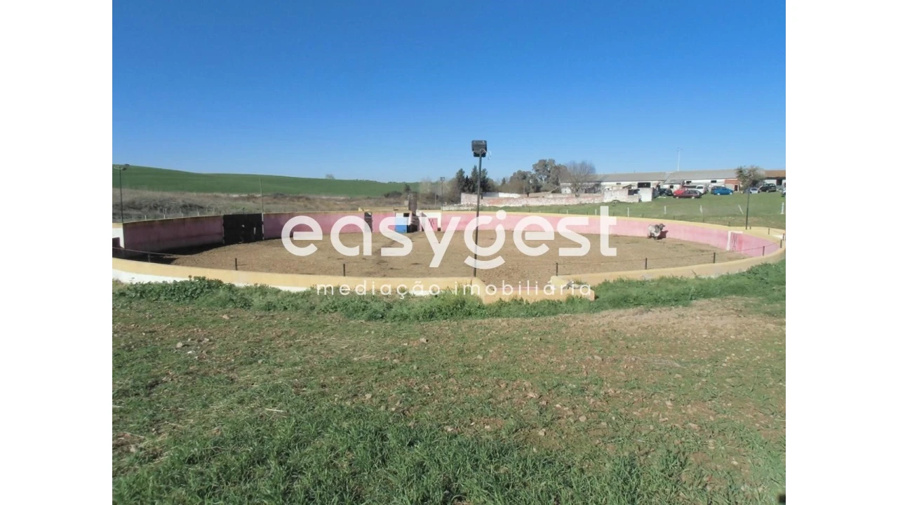 Quinta T2 para Venda em Santo Agostinho e São João Baptista e Santo Amador Foto 34