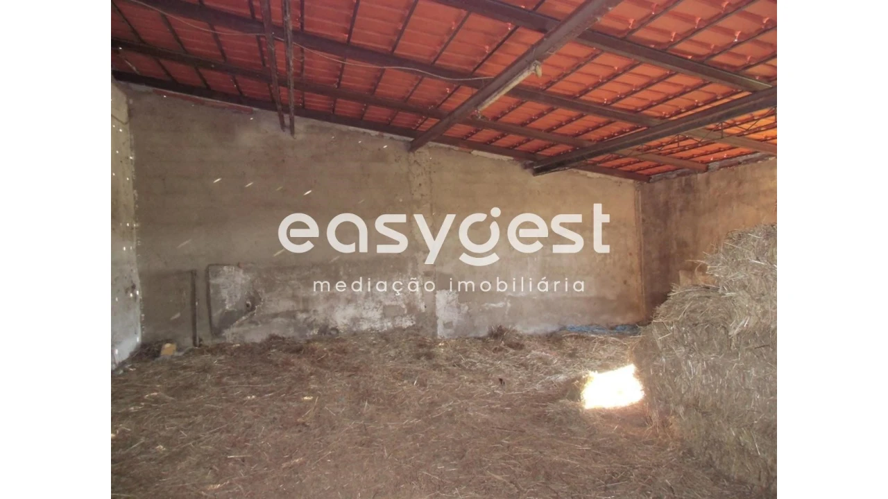 Quinta T2 para Venda em Santo Agostinho e São João Baptista e Santo Amador Foto 42