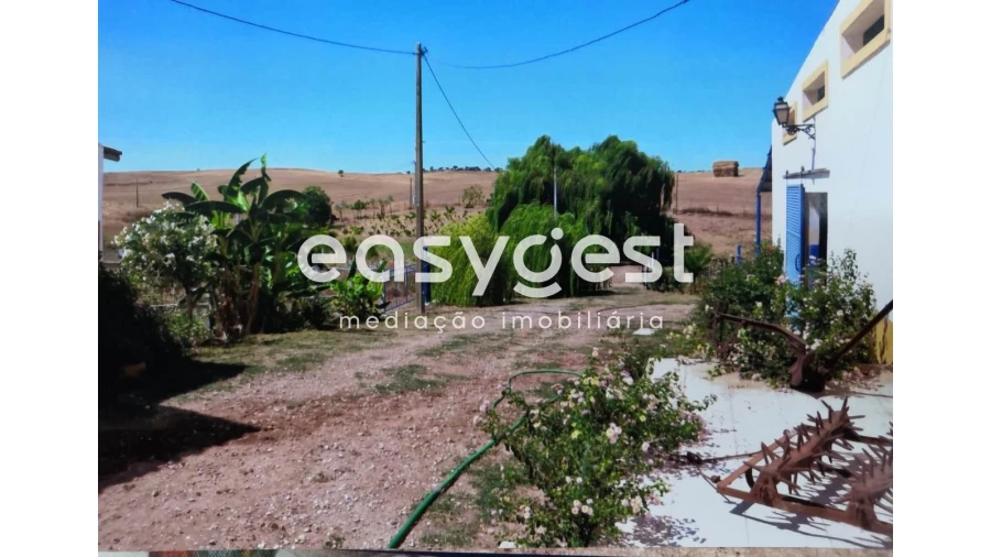 Quinta T2 para Venda em Santo Agostinho e São João Baptista e Santo Amador Foto 4