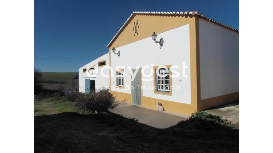 Quinta T2 para Venda em Santo Agostinho e São João Baptista e Santo Amador Foto 16