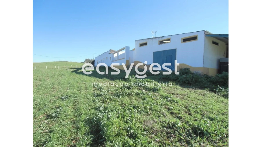 Quinta T2 para Venda em Santo Agostinho e São João Baptista e Santo Amador Foto 26