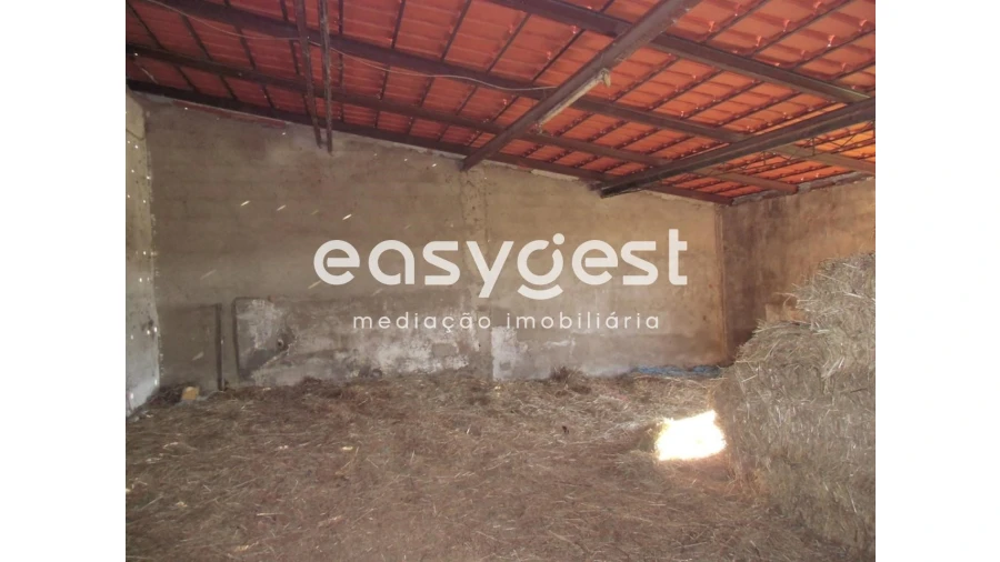 Quinta T2 para Venda em Santo Agostinho e São João Baptista e Santo Amador Foto 42