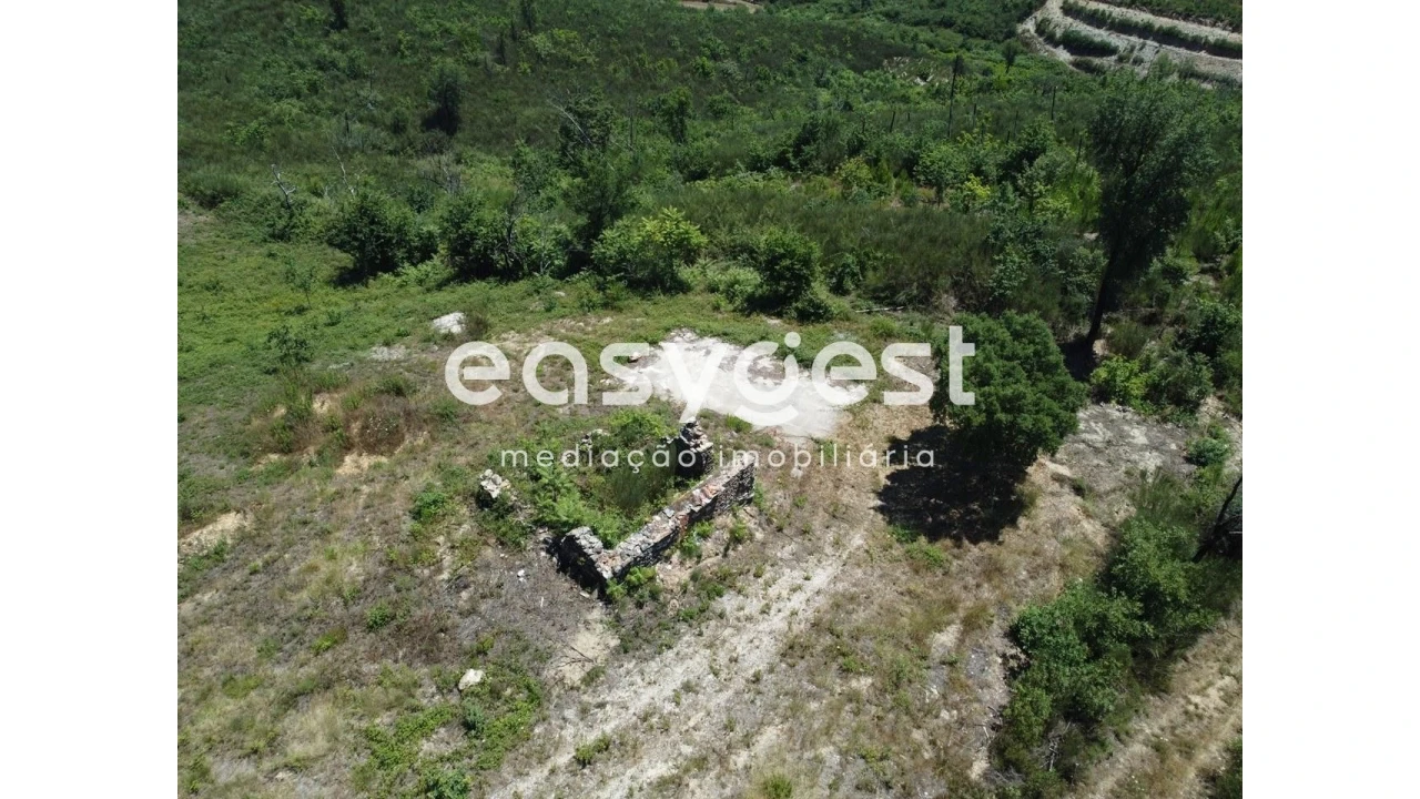 Terreno para Venda em Côja e Barril de Alva Foto 6