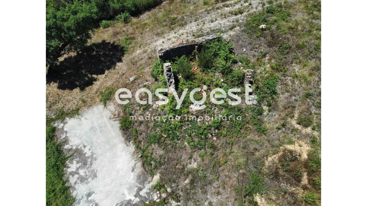 Terreno para Venda em Côja e Barril de Alva Foto 9