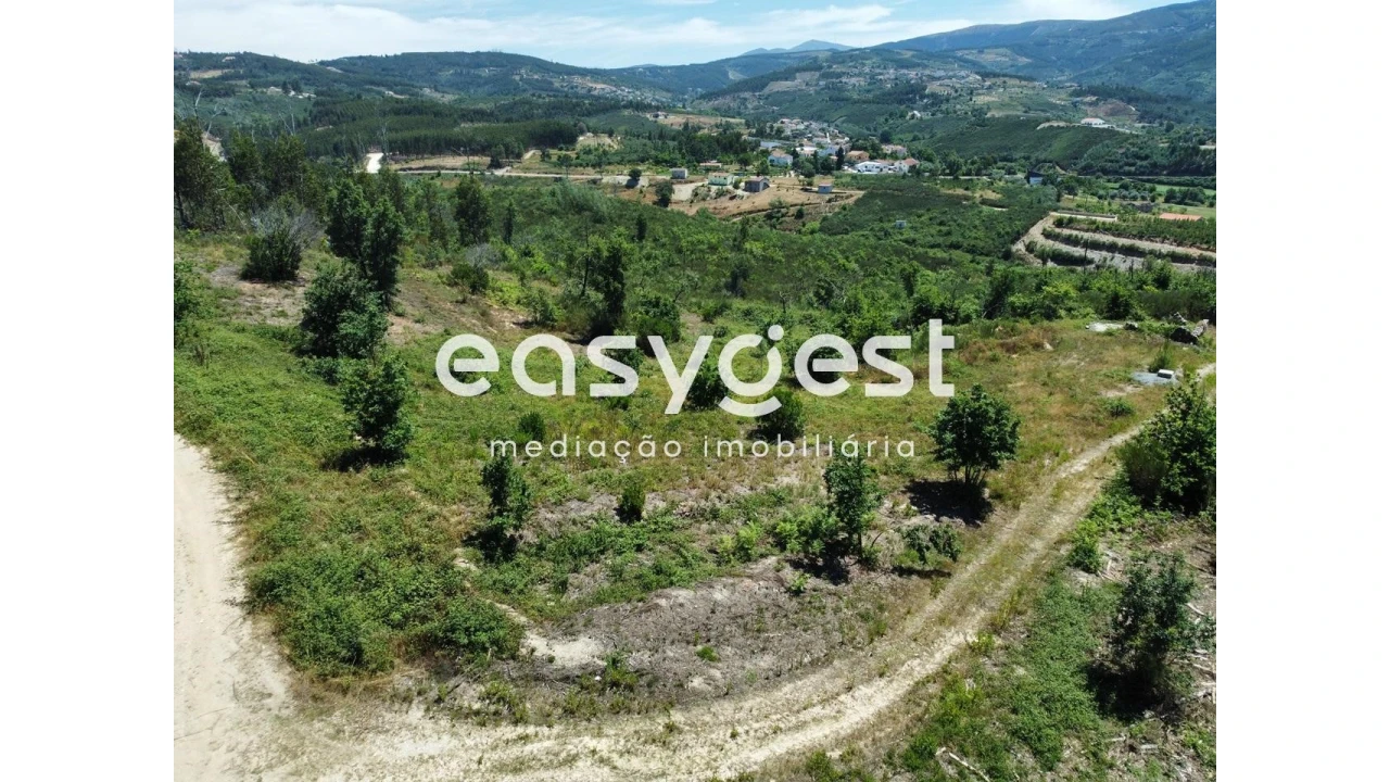 Terreno para Venda em Côja e Barril de Alva Foto 1