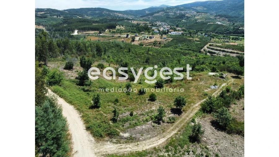 Terreno para Venda em Côja e Barril de Alva Foto 2