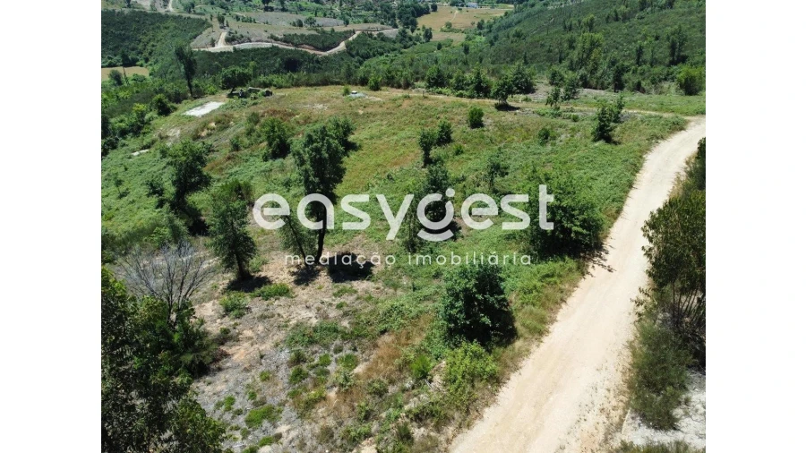 Terreno para Venda em Côja e Barril de Alva Foto 3