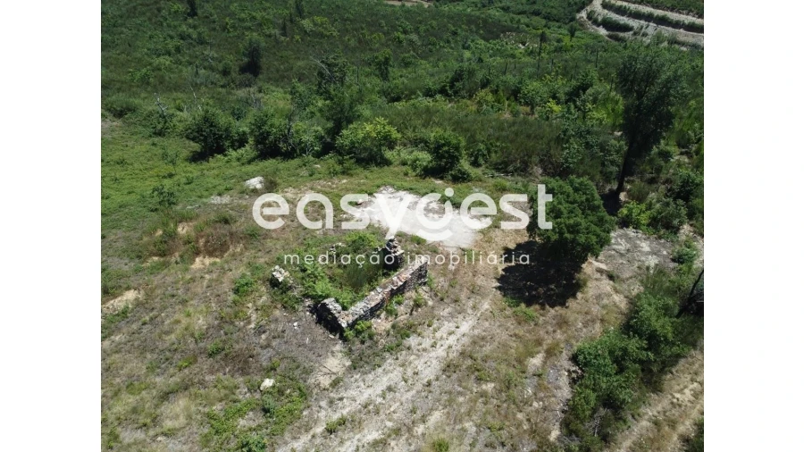 Terreno para Venda em Côja e Barril de Alva Foto 6