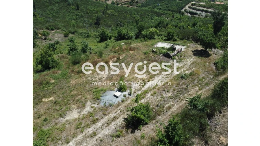 Terreno para Venda em Côja e Barril de Alva Foto 7
