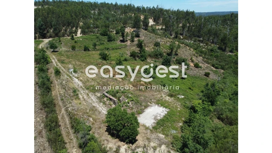 Terreno para Venda em Côja e Barril de Alva Foto 8