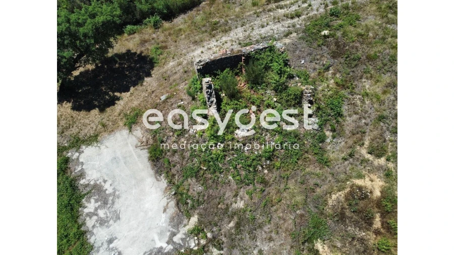 Terreno para Venda em Côja e Barril de Alva Foto 9