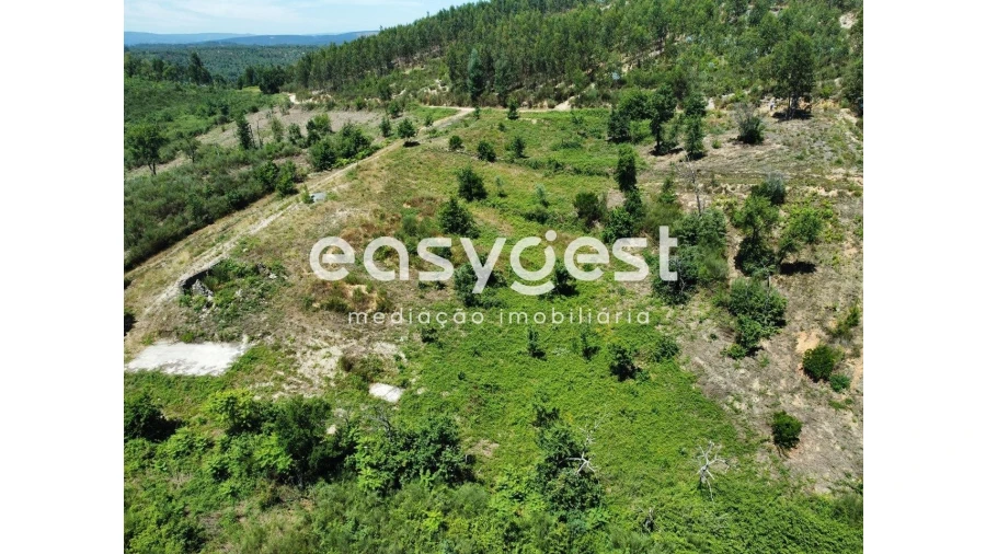Terreno para Venda em Côja e Barril de Alva Foto 11